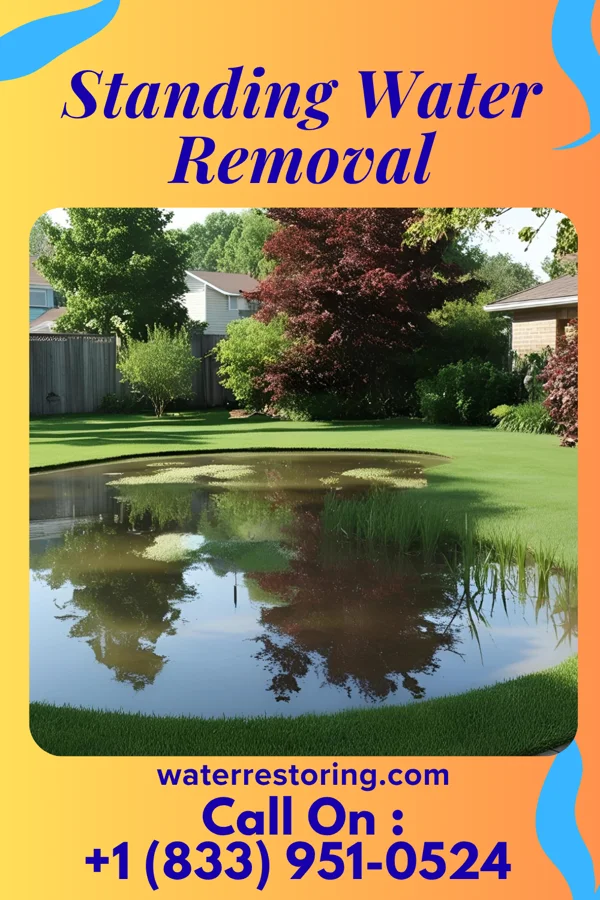 Standing Water Removal in Como, IL